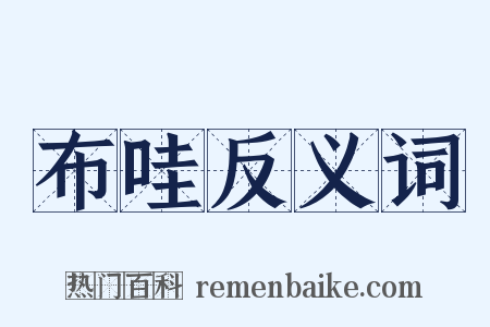 布哇反义词是什么意思的图片